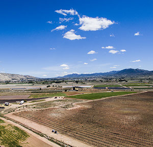Fotografía y vídeo aéreo con drones en Alicante